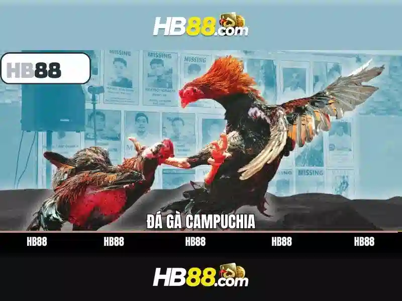 HB88: Tổng quan về nền tảng cược trực tuyến đáng tin cậy