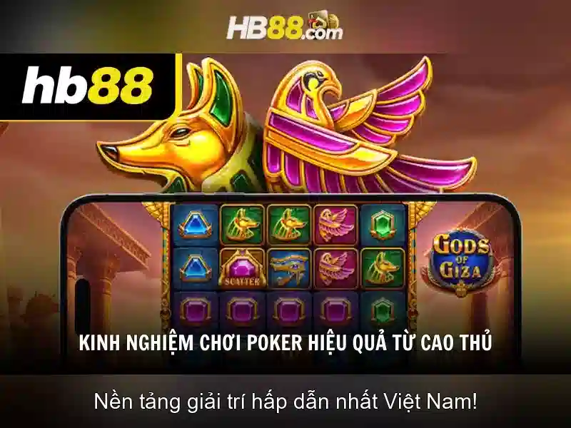 HB88: Nền tảng cược trực tuyến đáng tin cậy