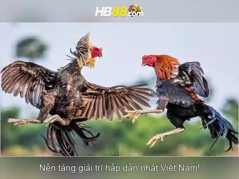 https://ibarnett.ru.com/images/text/hb88/hb88-text2603312272.webp