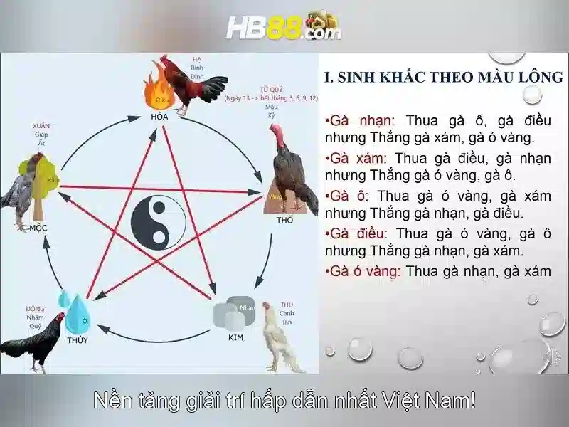 HB88 là gì và những đánh giá về nền tảng cá cược trực tuyến