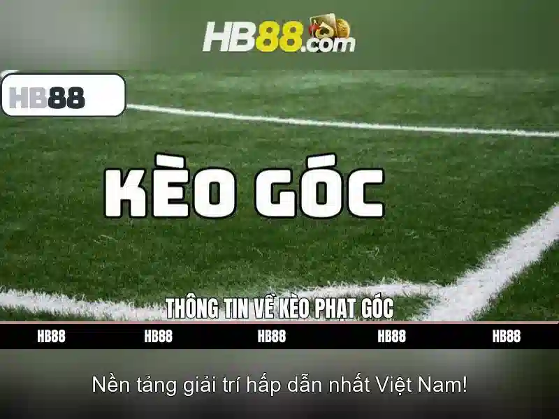 HB88: Nền tảng giải trí trực tuyến và các dịch vụ liên quan