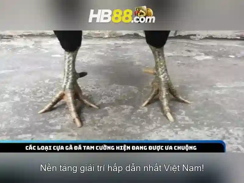Chuyến hành trình tài lộc hb88 2026