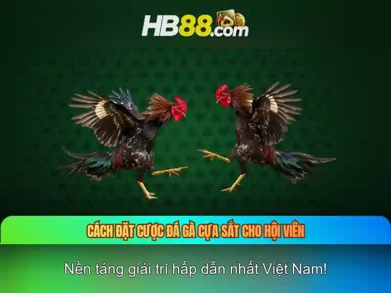 hb88 – Tổng quan về nền tảng giải trí trực tuyến